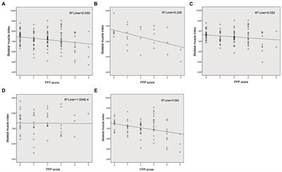 Measurement of sarcopenia in lung cancer inpatients and its association with frailty, nutritional risk, and malnutrition